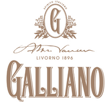 Galliano Logo