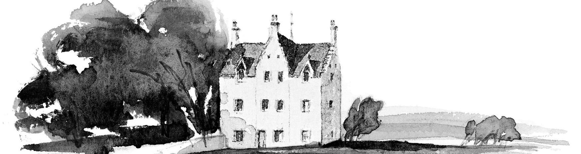 Mcallen Castle als Zeichnung